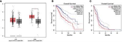 Expression and Prognostic Value of ARID5A and its Correlation With Tumor-Infiltrating Immune Cells in Glioma